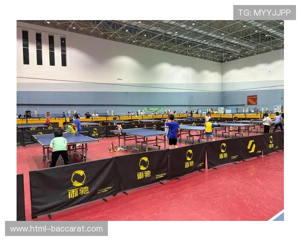 以斯帝卡为核心探索乒乓球科技与竞技的完美融合与未来发展趋势